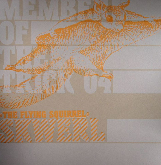 Skwerl - Flying Squirrel - Used Vinyl Record 12" image 1