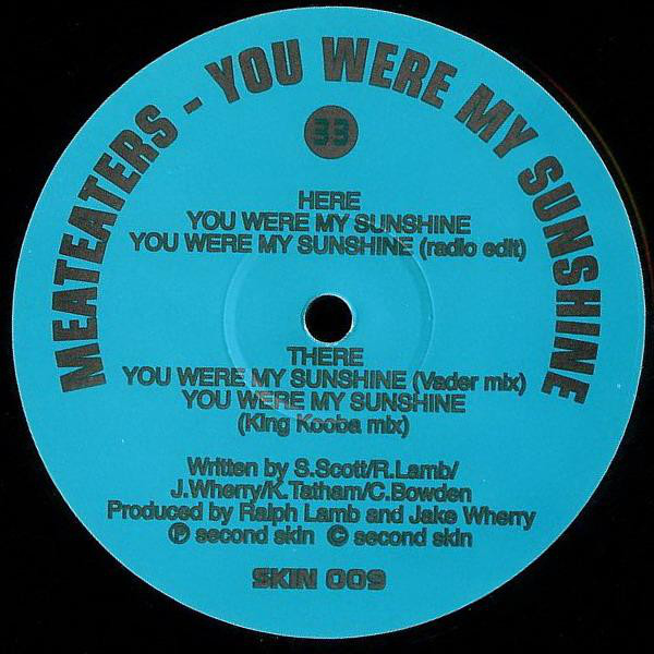 Meateaters - You Were My Sunshine - Used Vinyl Record 12" image 1