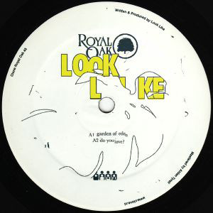 Look Like - Garden Of Eden - Vinyl Record 12" image 1