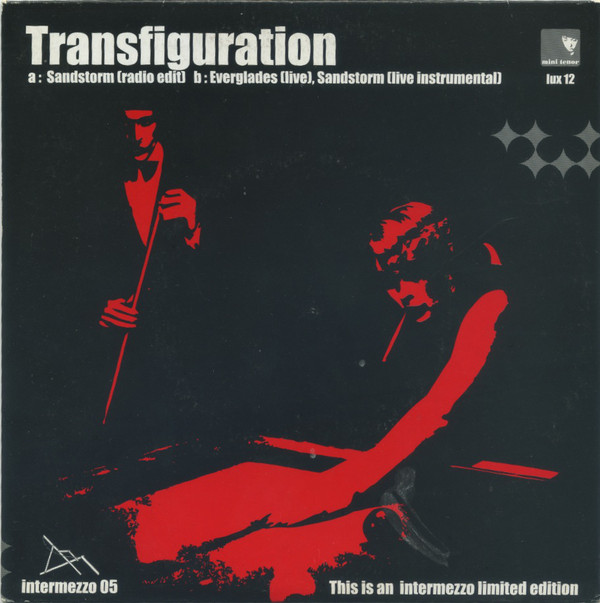 Transfiguration - Sandstorm - Used Vinyl Record 7" image 1