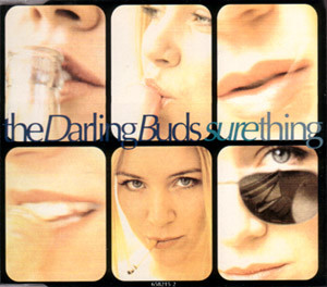 Darling Buds - Sure Thing - Used CD image 1