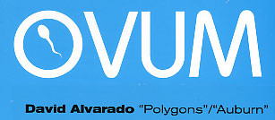David Alvarado - Polygons / Auburn - Used Vinyl Record 12" image 1