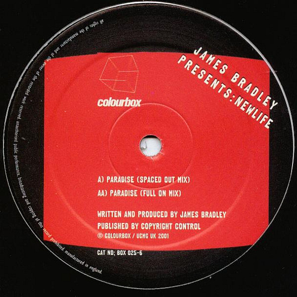 James Bradley - Paradise - Used Vinyl Record 12" image 1