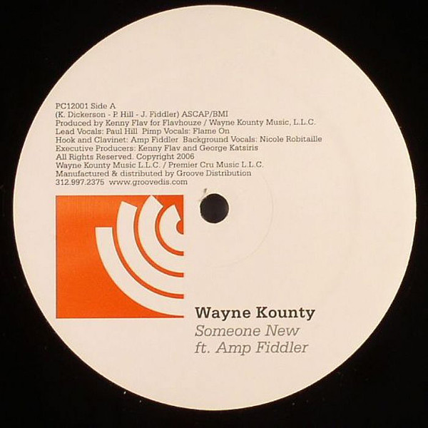 Wayne Kounty - Someone New - Vinyl Record 12" image 1