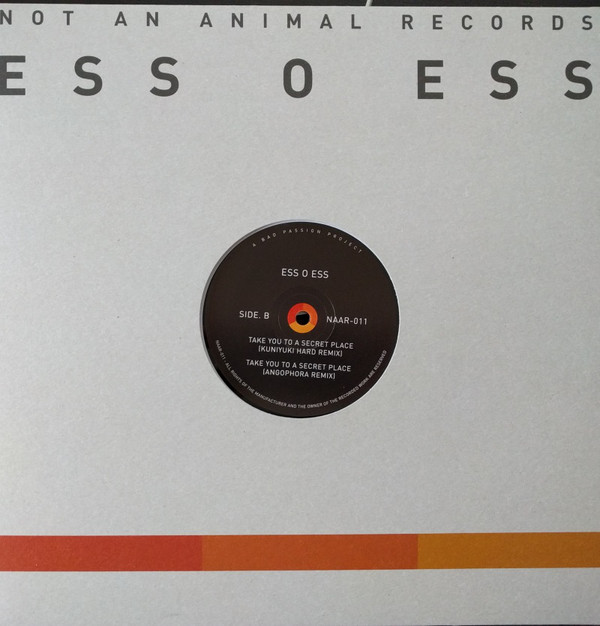 Ess O Ess - Take You To A Secret Place - Vinyl Record 12" image 1