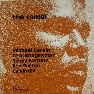 The Camel