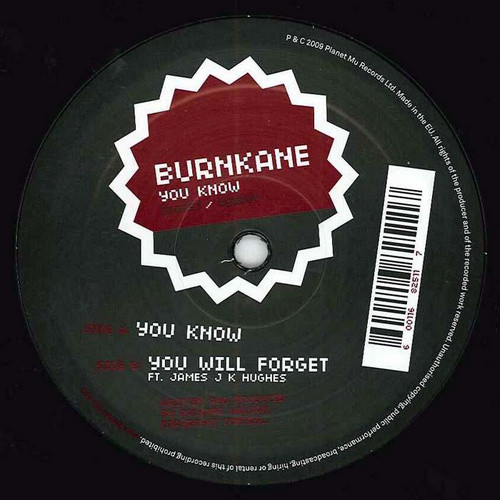 Burnkane - You Know - Used Vinyl Record 12" image 1