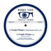 Dandy Teru - Fragile Things 12"inch - Vinyl Record 12" image 1