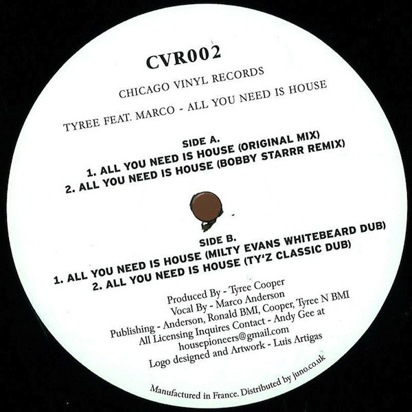 Tyree Cooper - All You Need Is House - Vinyl Record 12" image 1