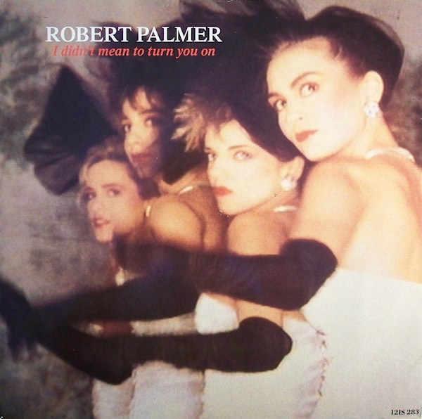 Robert Palmer - I Didn't Mean To Turn You On - Used Vinyl Record 12" image 1