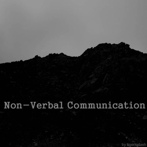 Non-Verbal Communication