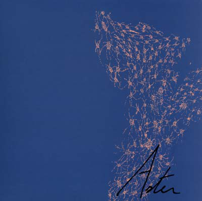 Aster - Things That Just Happen - Vinyl Record image 1