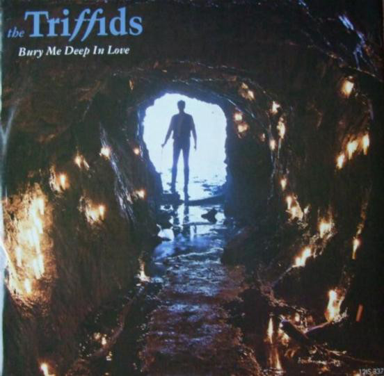 Triffids - Bury Me Deep In Love - Used Vinyl Record 12" image 1