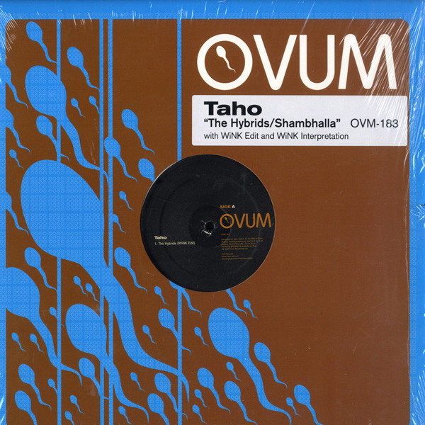 Taho - Hybrids / Shambhalla - Vinyl Record 12" image 1
