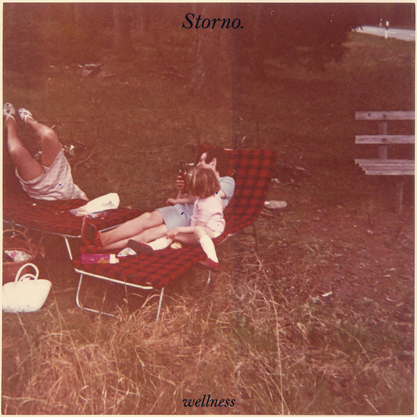 Storno. - Wellness - Vinyl Record image 1