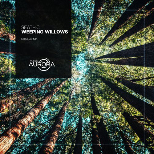 Weeping Willows