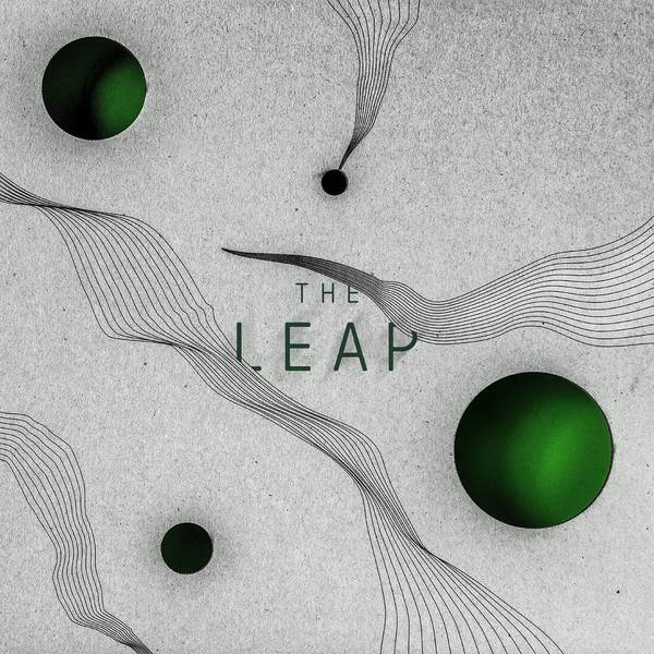 Leap - Vinyl Record 12" image 1