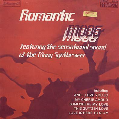 Unknown Artist - Romantic Moog - Used Vinyl Record image 1