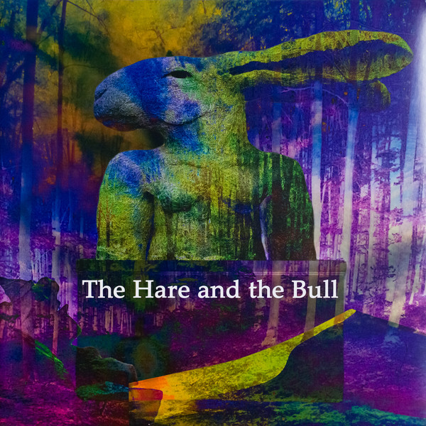 Various - Hare And The Bull - Used Vinyl Record image 1