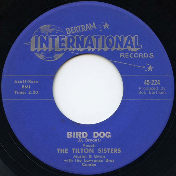 Bird Dog