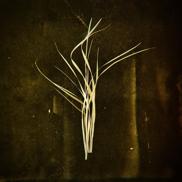 Lumisokea - Mnemosyne - Vinyl Record image 1