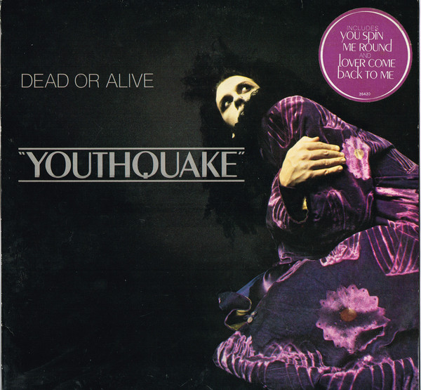Dead Or Alive - Youthquake - Used Vinyl Record image 1