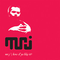 Mr. J - How D'Ya Like It? - Used Vinyl Record 12" image 1