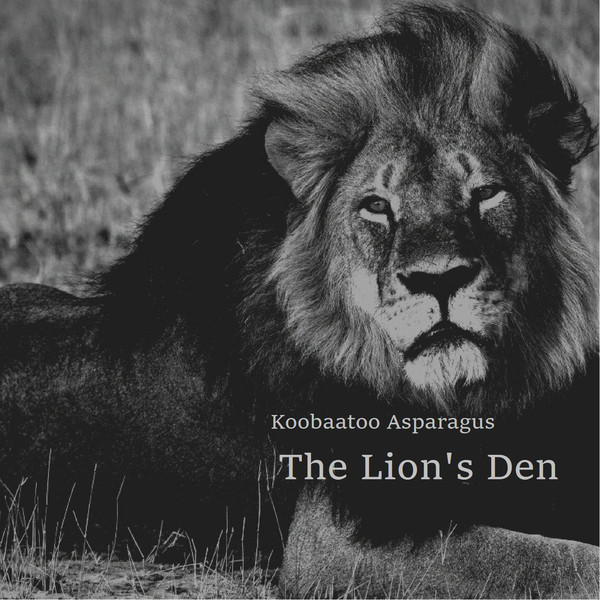 The Lion's Den