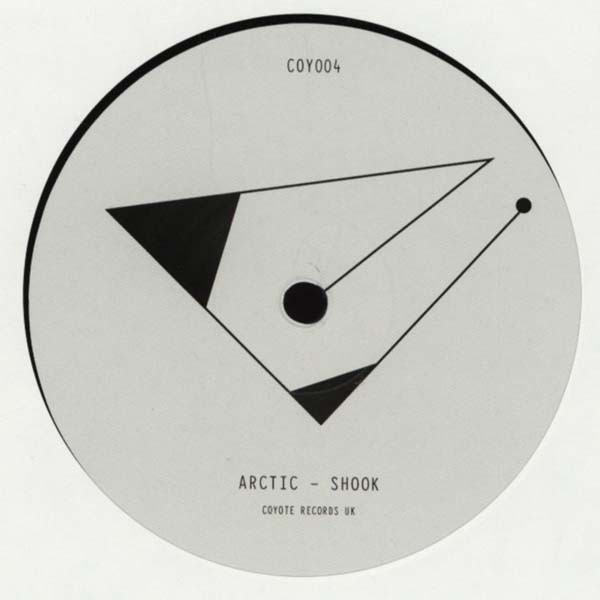 James Arctic - Shook - Vinyl Record 12" image 1