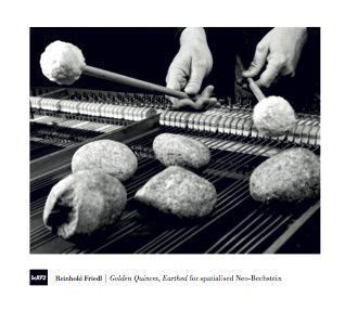 Reinhold Friedl - Golden Quinces, Earthed For Spatialised Neo-Bechstein image 1