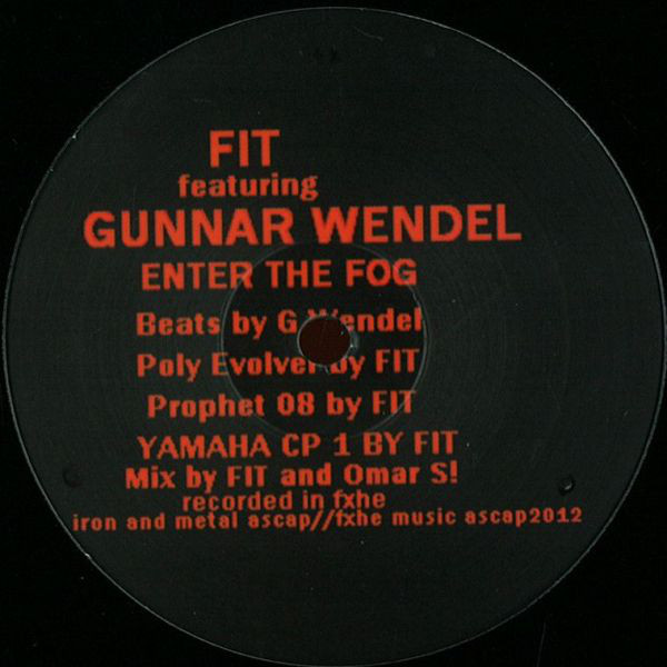 FIT Siegel - Enter The Fog - Vinyl Record 12" image 1
