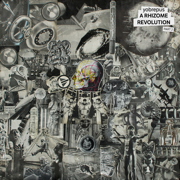 YOBREPUS - A RHIZOME REVOLUTION PART 2 - Vinyl Record image 1
