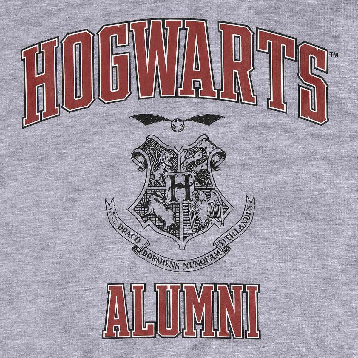 Harry Potter - Hogwarts Alumni - hoodies - zipped hoodie - Small image 3
