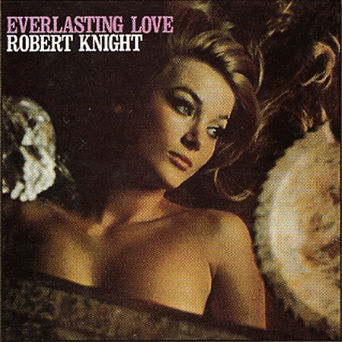 Robert Knight - Everlasting Love - Used Vinyl Record image 1