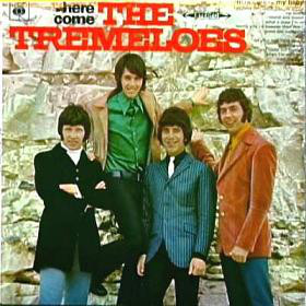 Tremeloes - Here Come - Used Vinyl Record image 1