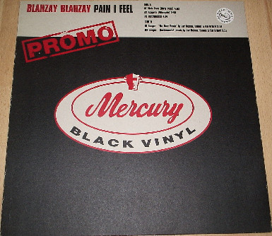 Blahzay Blahzay - Pain I Feel - Used Vinyl Record 12" image 1