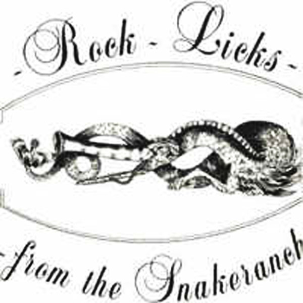 Nick Glennie-Smith - Rock Licks From The Snake Ranch - Used Vinyl Recor image 1