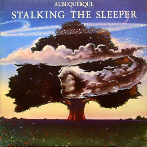 Michael D'Albuquerqu - Stalking The Sleeper - Used Vinyl Record image 1