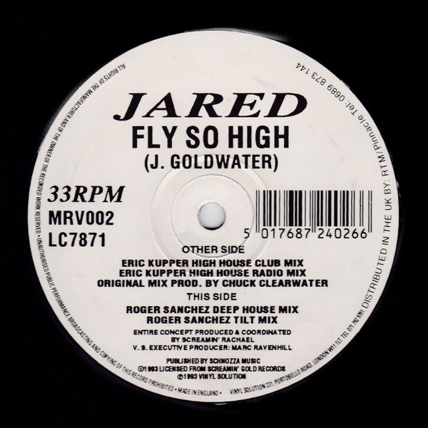 Jared - Fly So High - Used Vinyl Record 12" image 1
