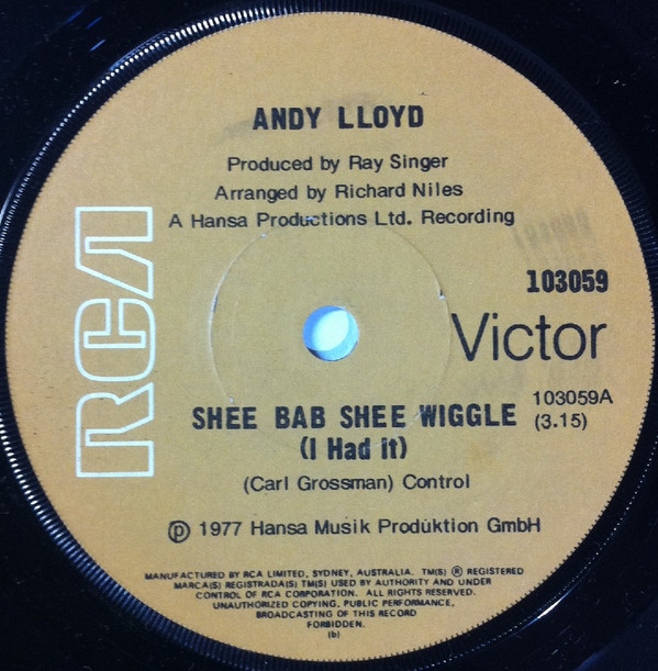 Andy Lloyd - Shee Bab Shee Wiggle (I Had It) - Used Vinyl Record 7" image 1