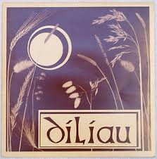 Y Diliau - Tân Neu Haf - Used Vinyl Record image 1