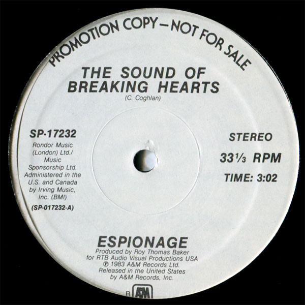 The Sound Of Breaking Hearts