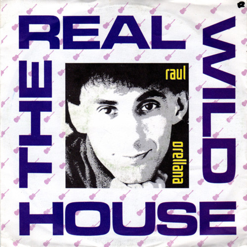 The Real Wild House