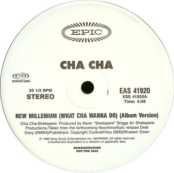 New Millenium (What Cha Wanna Do)