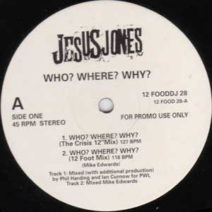 Jesus Jones - Who? Where? Why? - Used Vinyl Record 12" image 1