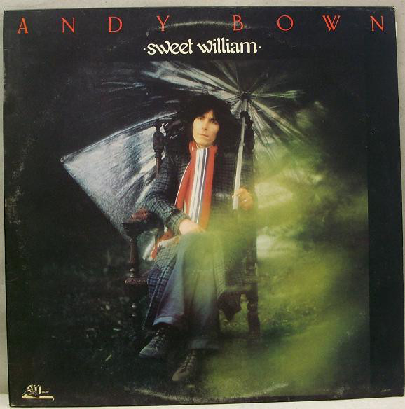 Andy Bown - Sweet William - Used Vinyl Record image 1