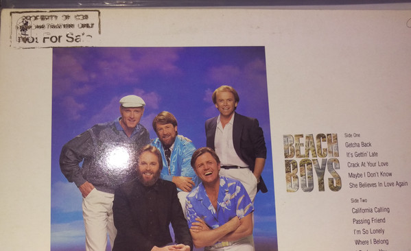 Beach Boys - Used Vinyl Record image 1