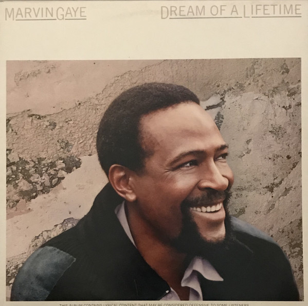 Marvin Gaye - Dream Of A Lifetime - Used Vinyl Record image 1