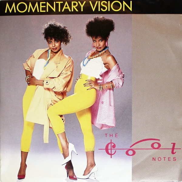 Cool Notes - Momentary Vision - Used Vinyl Record 7" image 1