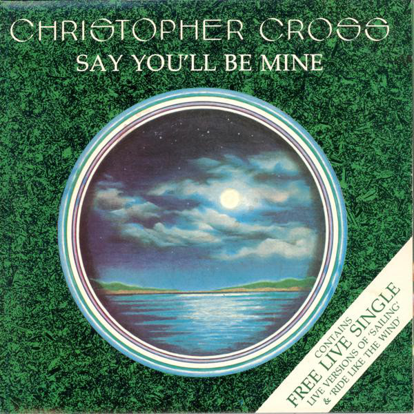 Christopher Cross - Say You'll Be Mine - Used Vinyl Record 7" image 1